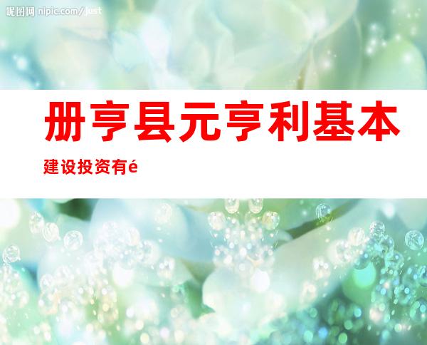 册亨县元亨利基本建设投资有限公司