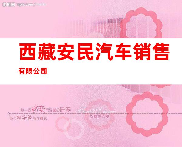 西藏安民汽车销售有限公司